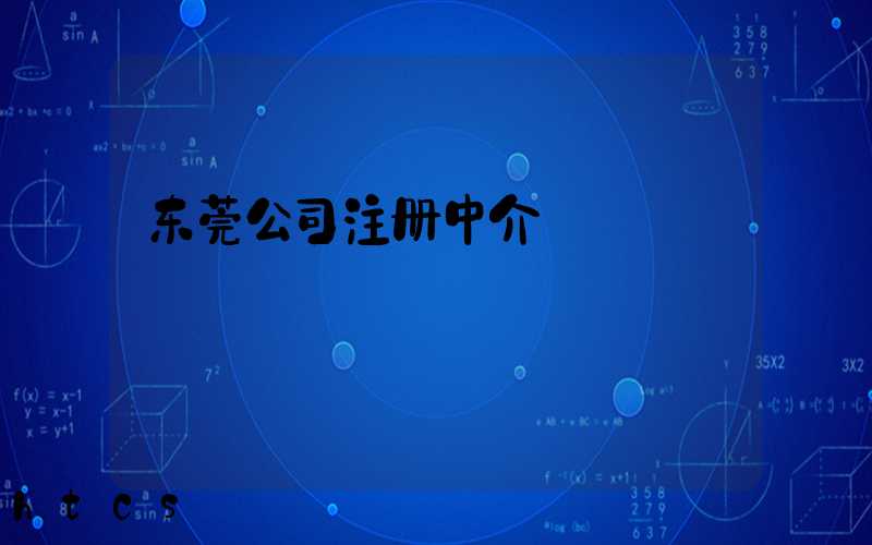 东莞公司注册中介/