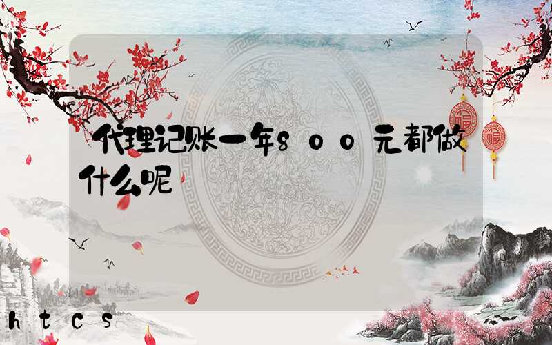 代理记账一年800元都做什么呢/