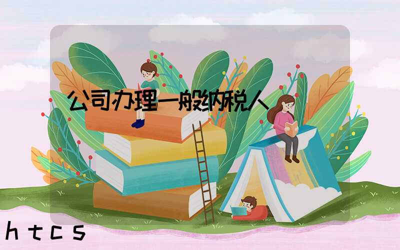 公司办理一般纳税人/