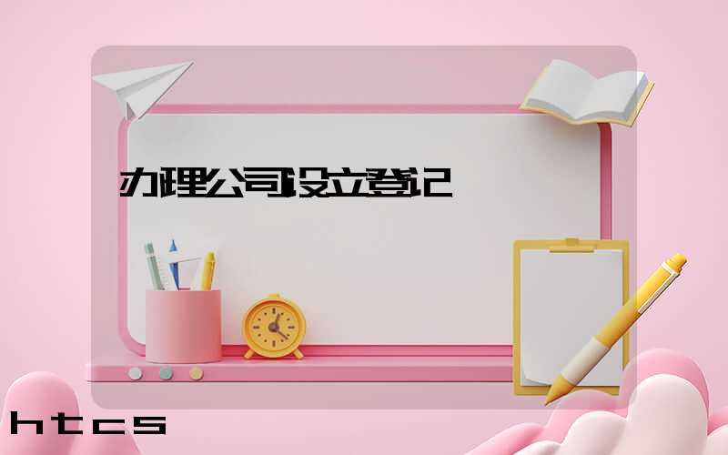 办理公司设立登记/