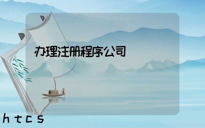 办理注册程序公司/